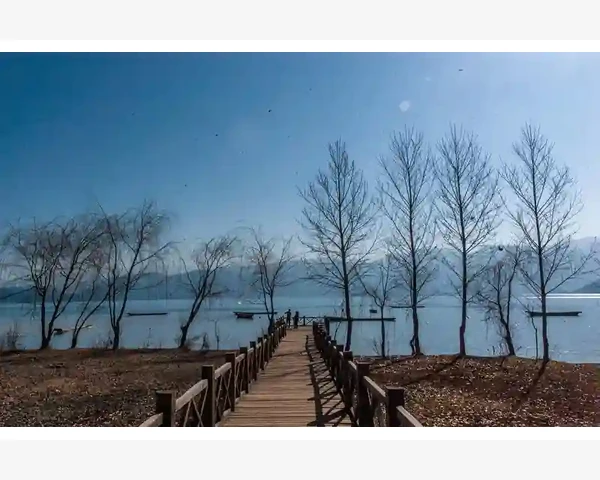 甲状腺结节怎么针灸调理消除