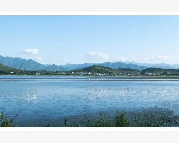 B2B独立站多元类型企业出海必看