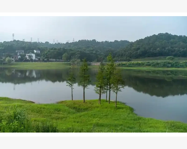 中药祛风去湿气的方法与功效