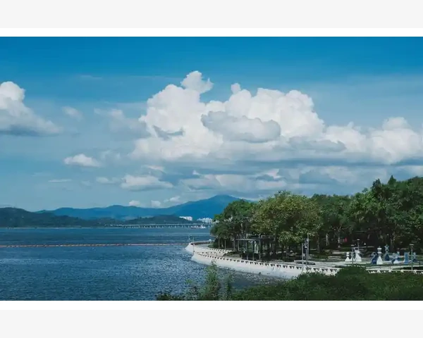B2B管理从流程驱动到数据驱动